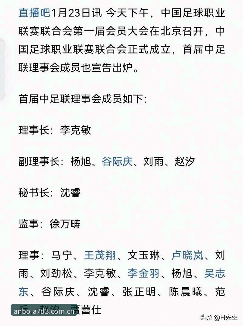 资深球迷复盘足协第三批禁足名单：从17人终身禁赛看行业整肃的深层逻辑